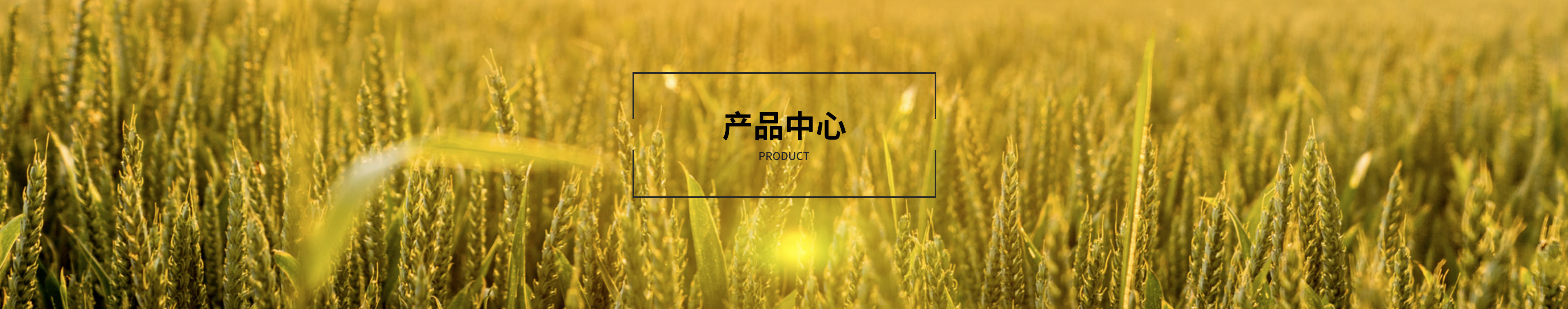 产品中心