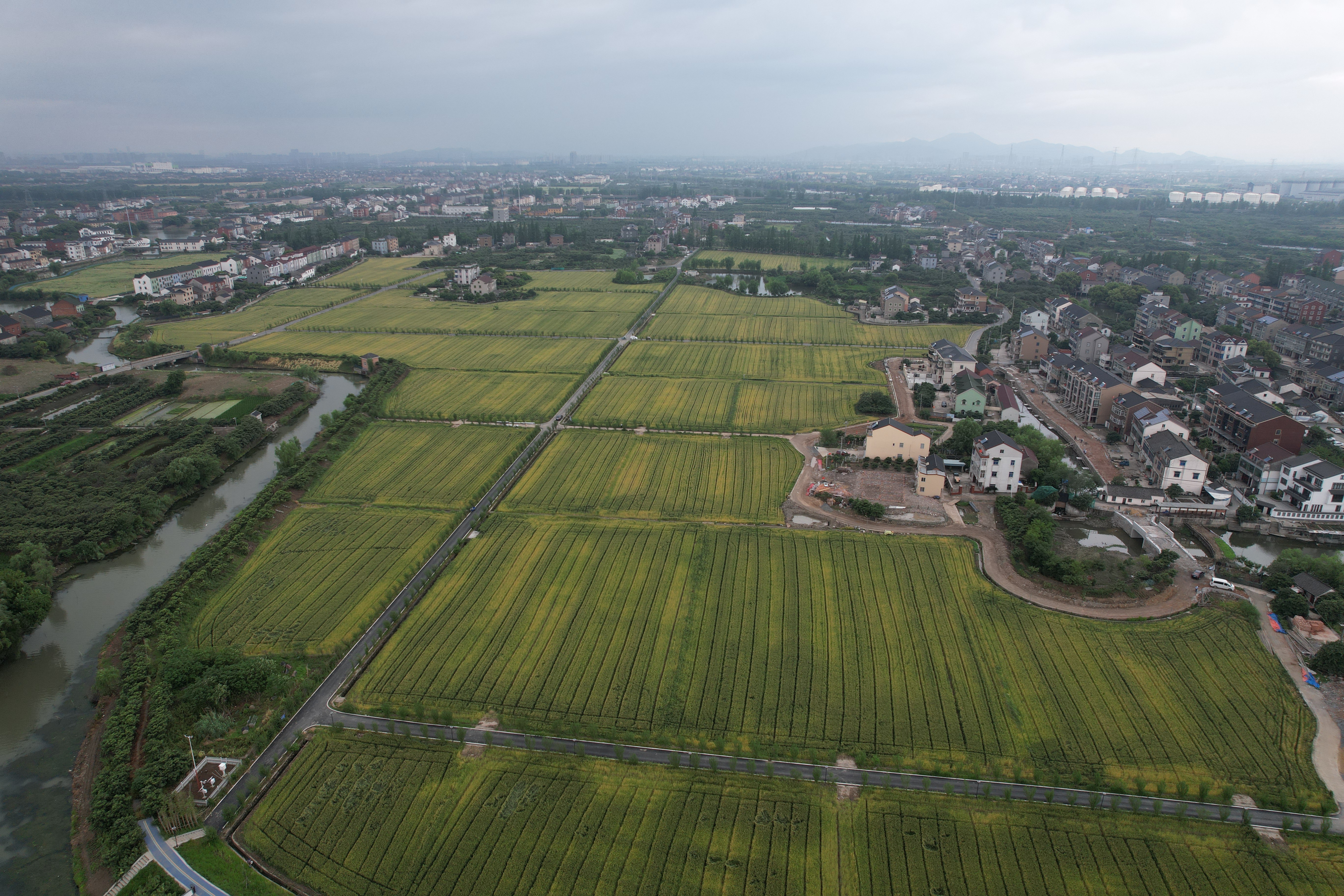 生产基地