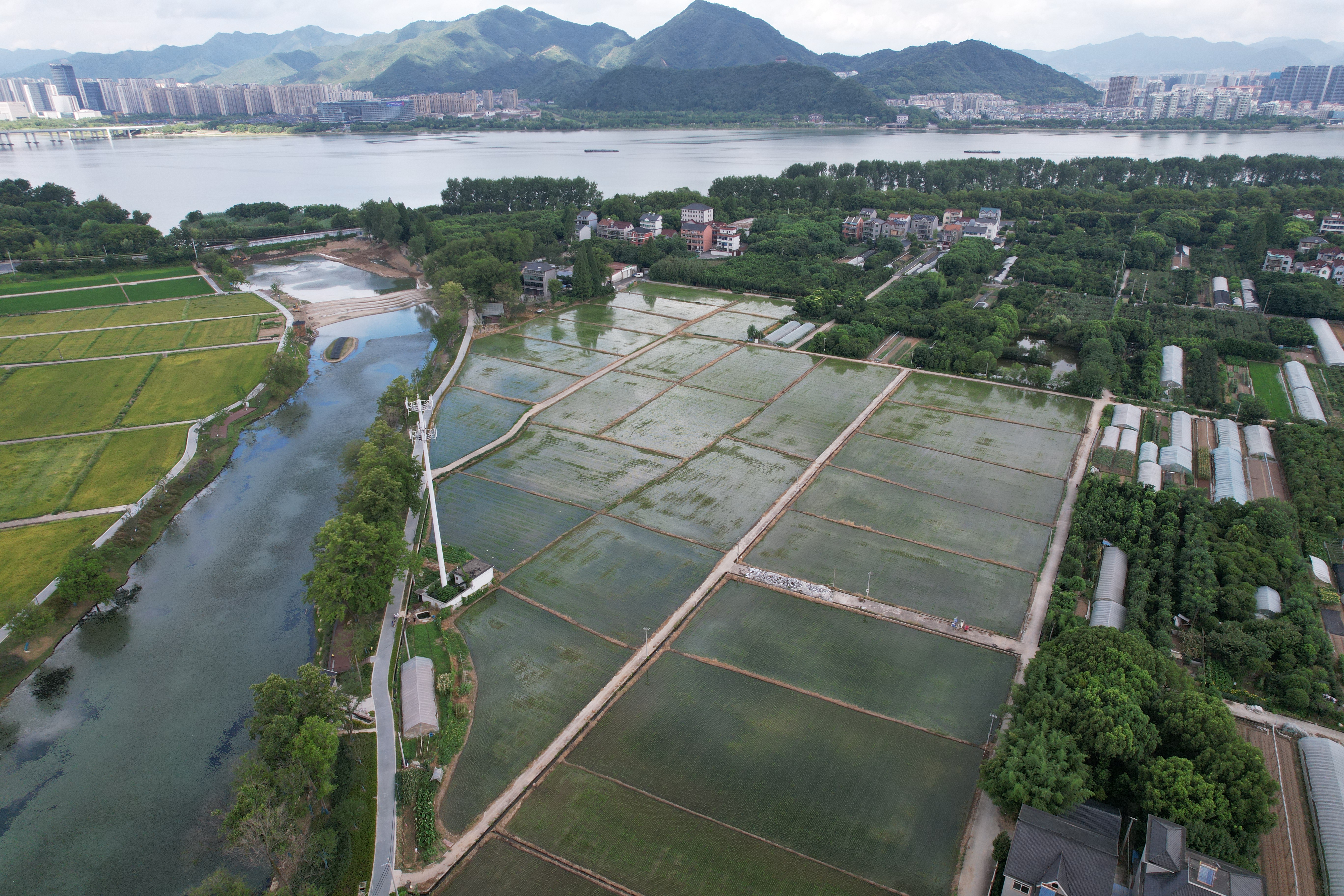 生产基地