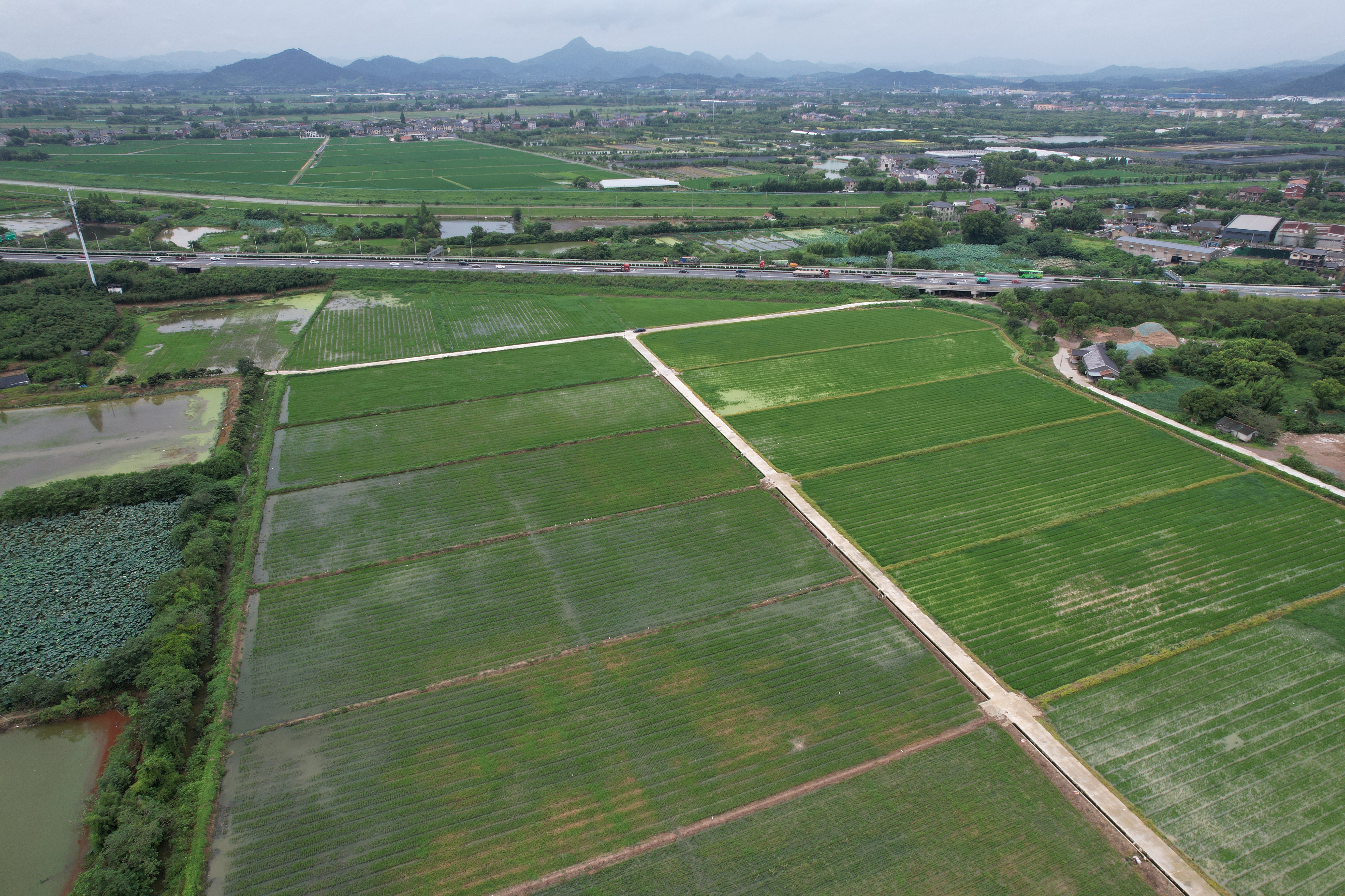 生产基地