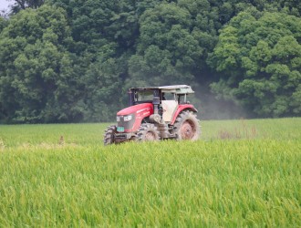 杭州种业集团：农机轰鸣赶“稻花姻缘” 机械助力促稳产丰收
